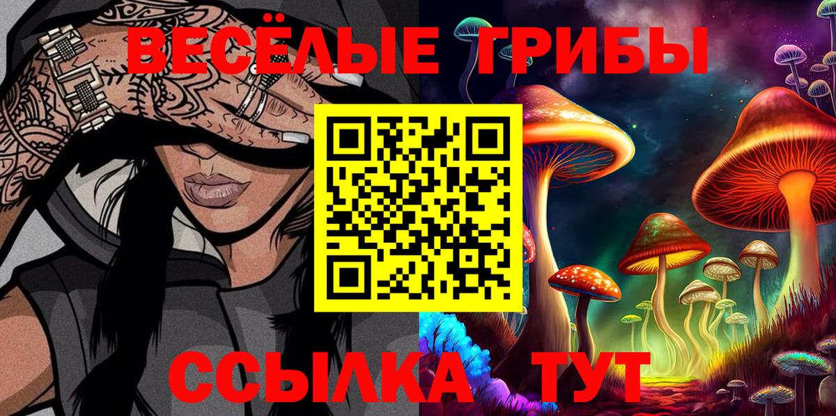 Донской  Псилоцибиновые грибы ЛСД  Псилоцибиновые грибы мухоморы  Вход с VPN 